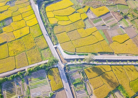 中山出台村落集体经营性建设用地入市新政