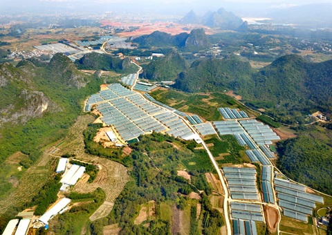 广西创新落实设施农业用地治理助力村落振兴