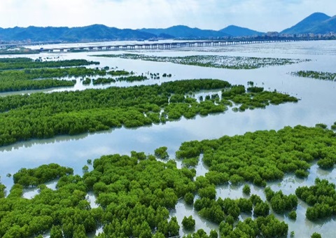 广东颁布生态产品目录清单指引