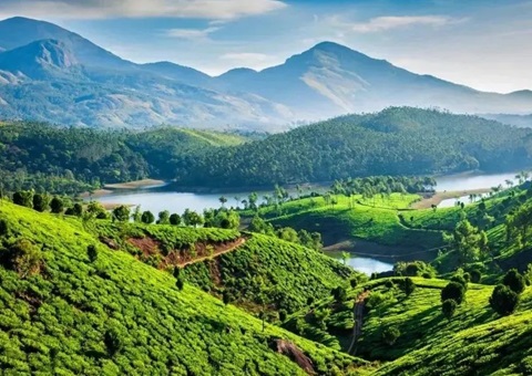 陕西在全国率先成立省级天然资源领域生态；ぷ菹蜃酆吓獬セ