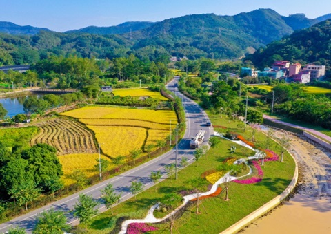 四川省颁布首个处所性县域数字村落建设与运营指南