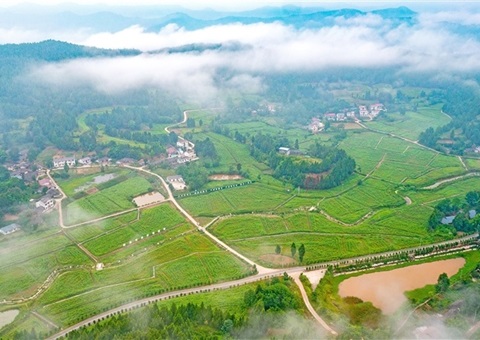 遂宁市守住耕地“命脉” &nbsp;沃野千里织锦绣