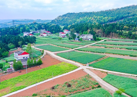 广元市奉杏装卫星田长”科技助力精准；じ