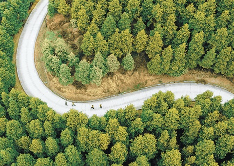 沉庆市全面深入林权登记造度鼎新 &nbsp;&nbsp; 助力林地“绿色资源”向苍生“金色财富”转变