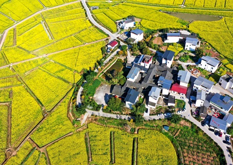 205.7亿元！&nbsp;&nbsp;四川财政下达2025年衔接推动村落振兴补助资金