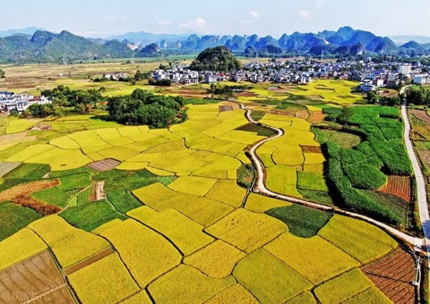 强化“指挥棒”作用&nbsp;&nbsp;柳州市发放500万元耕地；ぁ凹だ彀