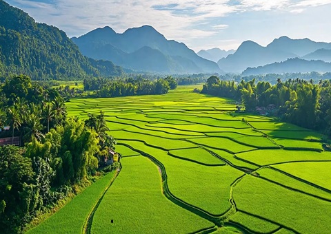 “天然资源+税务”协同共治！崇左筑牢耕地；び胨笆铡八老摺