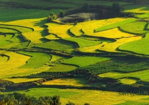四川颁布第二批沉大项目节地案例 推动地皮资源高效集约利用