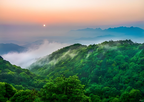 福建丛林提质四大行动打造苍生“幸？可健