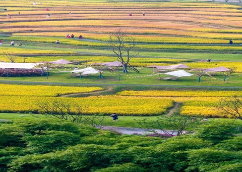 四川省成都市龙泉驿区局“三化”工作法提升规划地皮核实效力