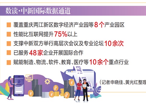 激活沉庆盛开新动能 &nbsp;&nbsp;中新国际数据通路架起跨境“数字桥梁”