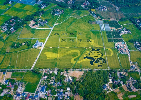 成都颁布耕地；す婊〗10年这样筑牢“天府粮仓”根基