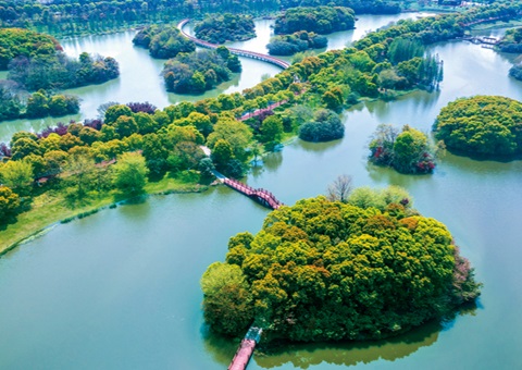 江西省湿地；ぢ室汛61.99%