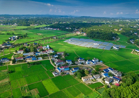 湖南构建汛旱并防与耕地置换协同推动机造