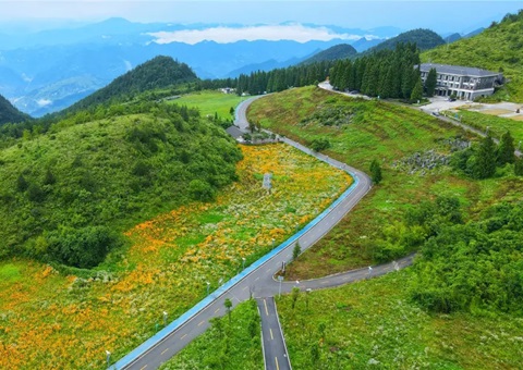 沉庆云阳：全国首例，获批1.8亿！