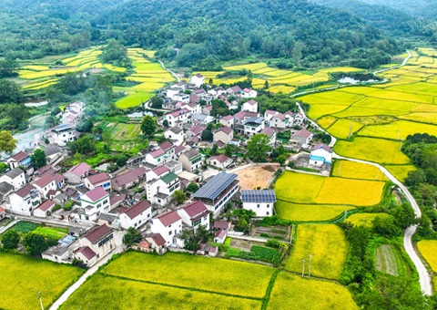 安徽省天然资源厅：130个乡镇耕地；こ删屯蛊 获赔偿激励1.3亿元