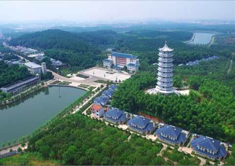 湖北：用好“一张图” ，智治有支持