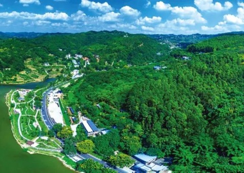 保险沉大项目加快落地！成都市构建用地用林联动审查机造