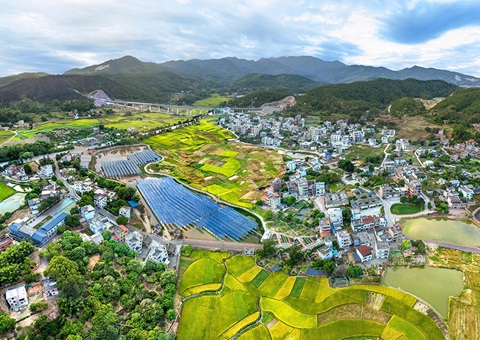 广东确定七个全域地皮综合整治省级联系点