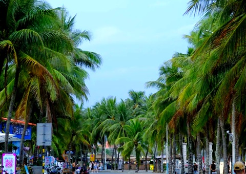 建“清冷城视妆，海南有何“凉方”?