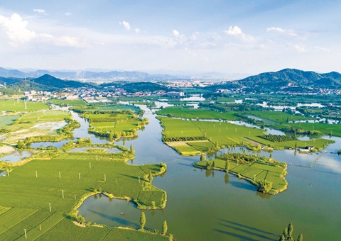 浙江率先完玉成国首个国度公园资产查究试点和全省域建设用地使用权情况查究。