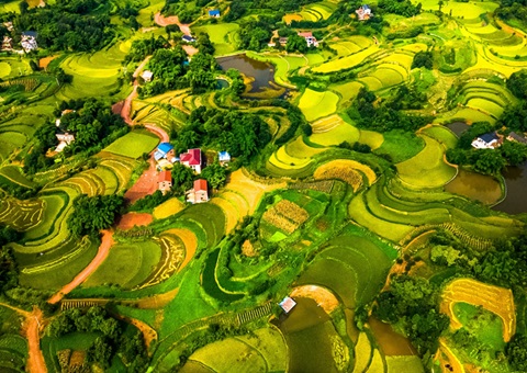 @农夫伴侣 2025年沉庆市耕地地力；げ怪婊戳