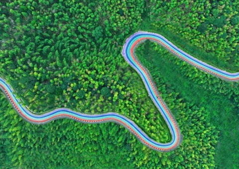 组合供给出新招，竹海收益节节高——桃江县“桃花江竹海”天然资源资产组合供给推动生态产品价值实现案例