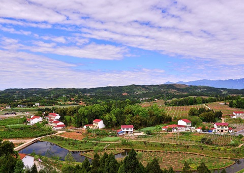 河南：2026年年底前实现村落地域规划治理全覆盖