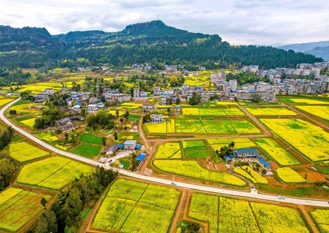 四川已刊行地皮储蓄专项债券186.66亿元