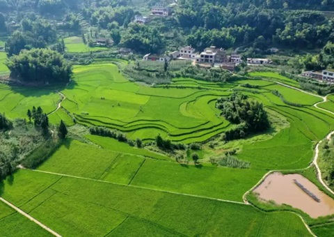 四川省批复首个全域地皮综合整治执行规划